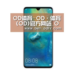 华为无线快充手机