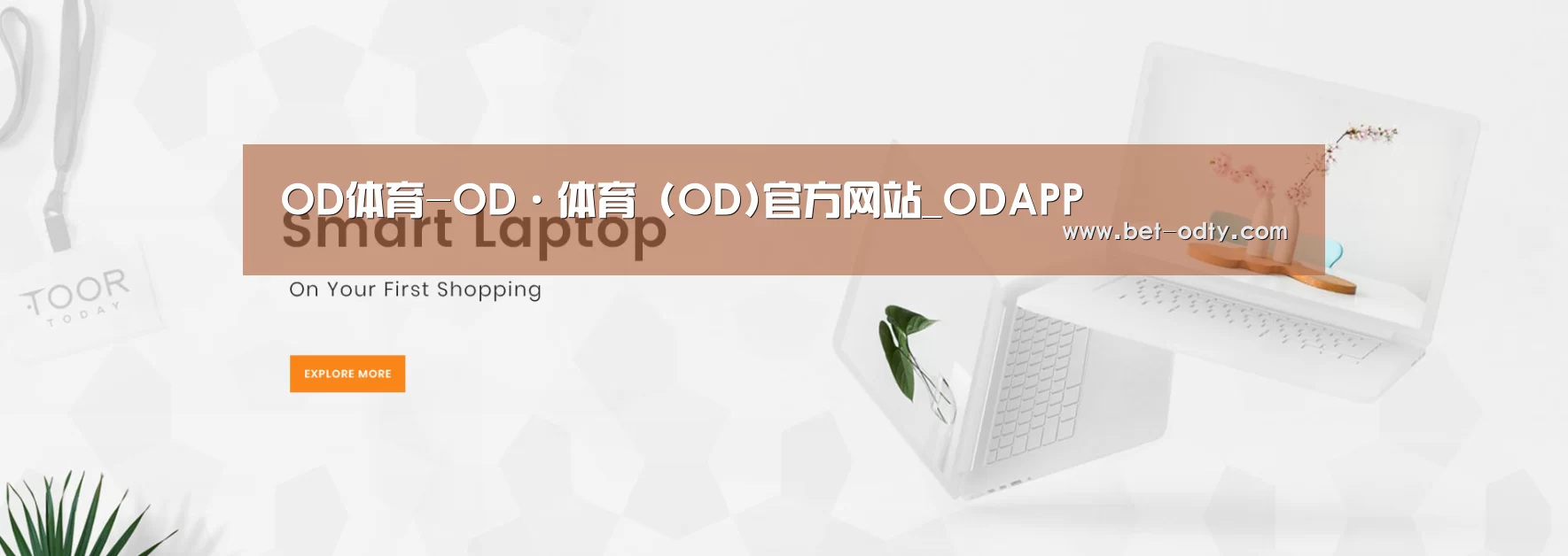 某某网络科技有限公司